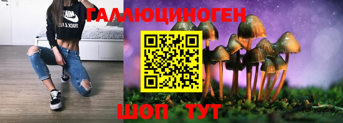 Псилоцибиновые грибы Cubensis Карабулак